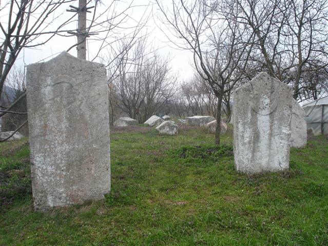 zivinice