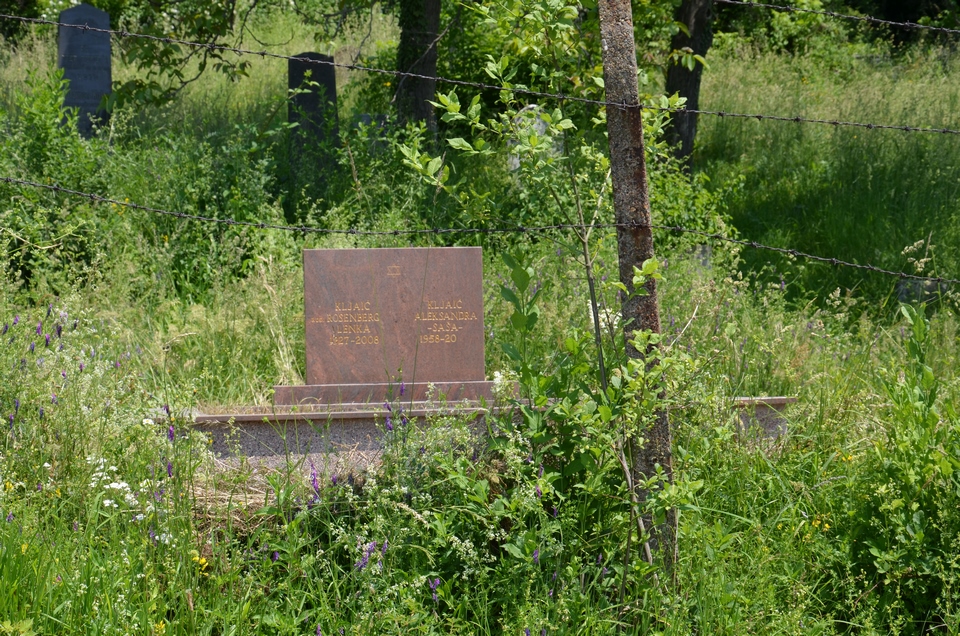 DSC 0390