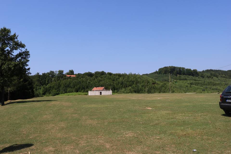 IMG 0202