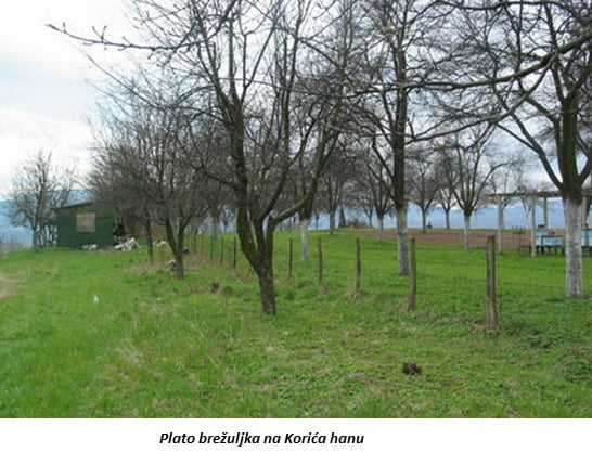korica1