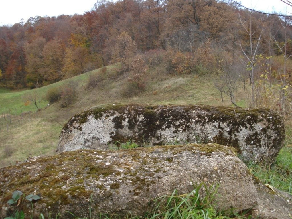 slika 1