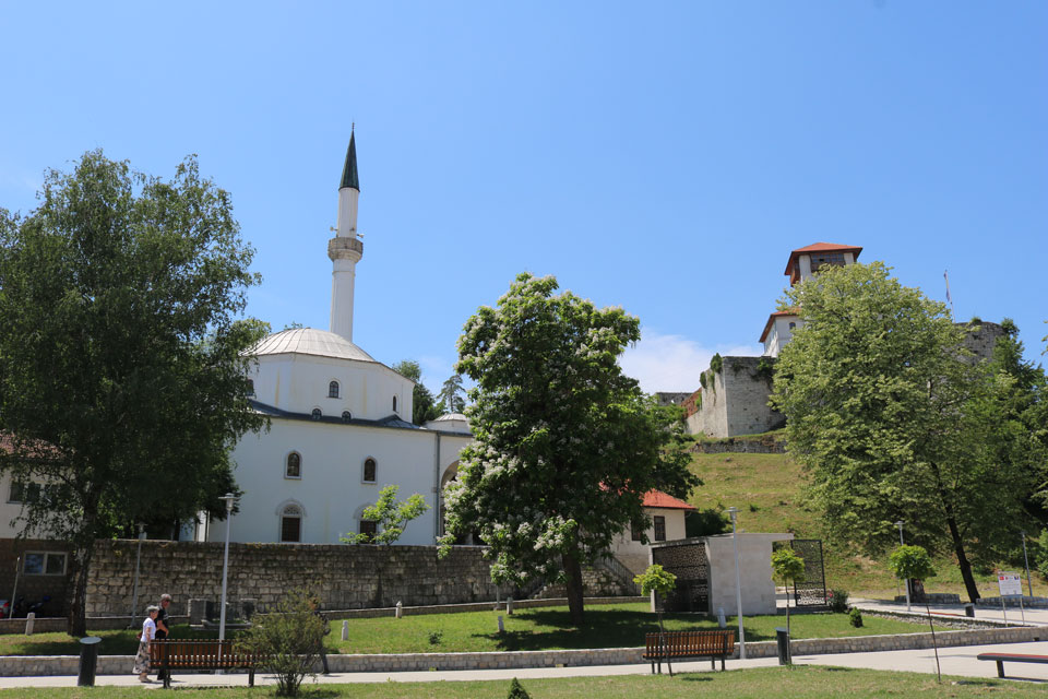 naslovna
