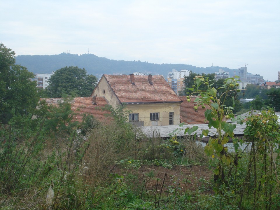 DSC08880