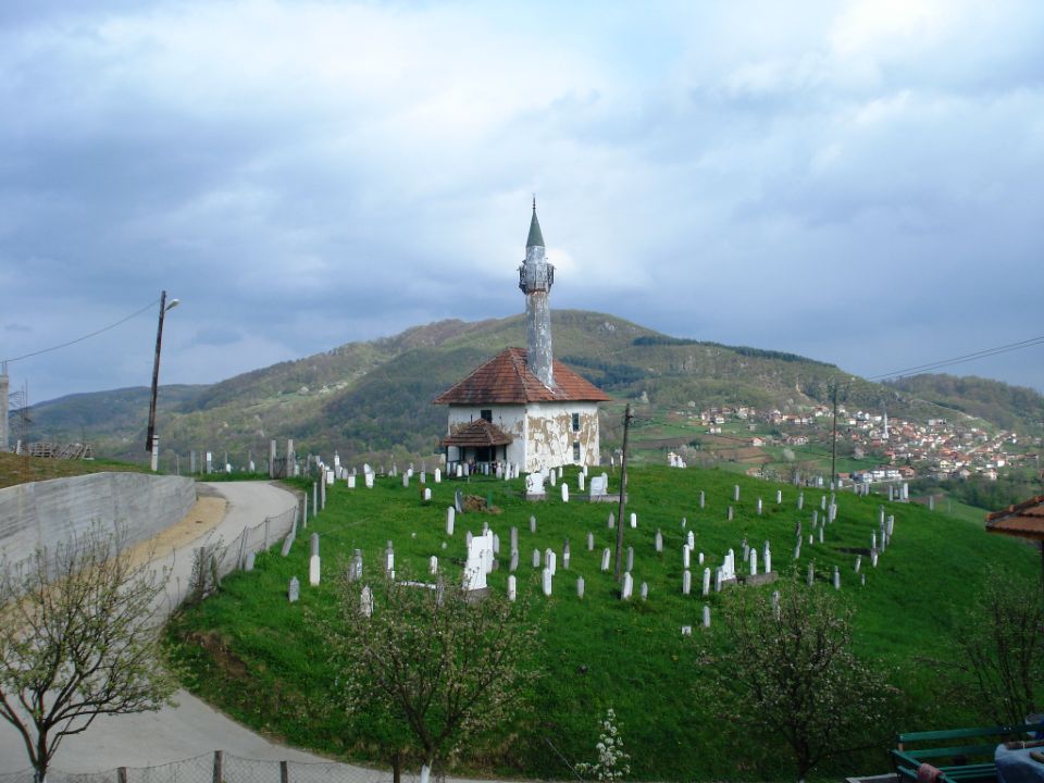 DSC04264