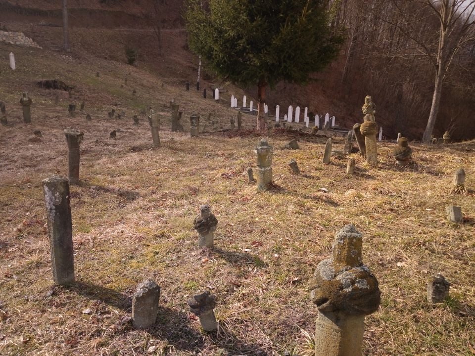 naslovna