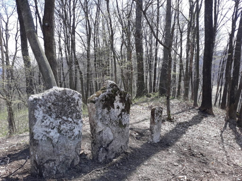 Naslovna Bre&scaron;ke novo 7