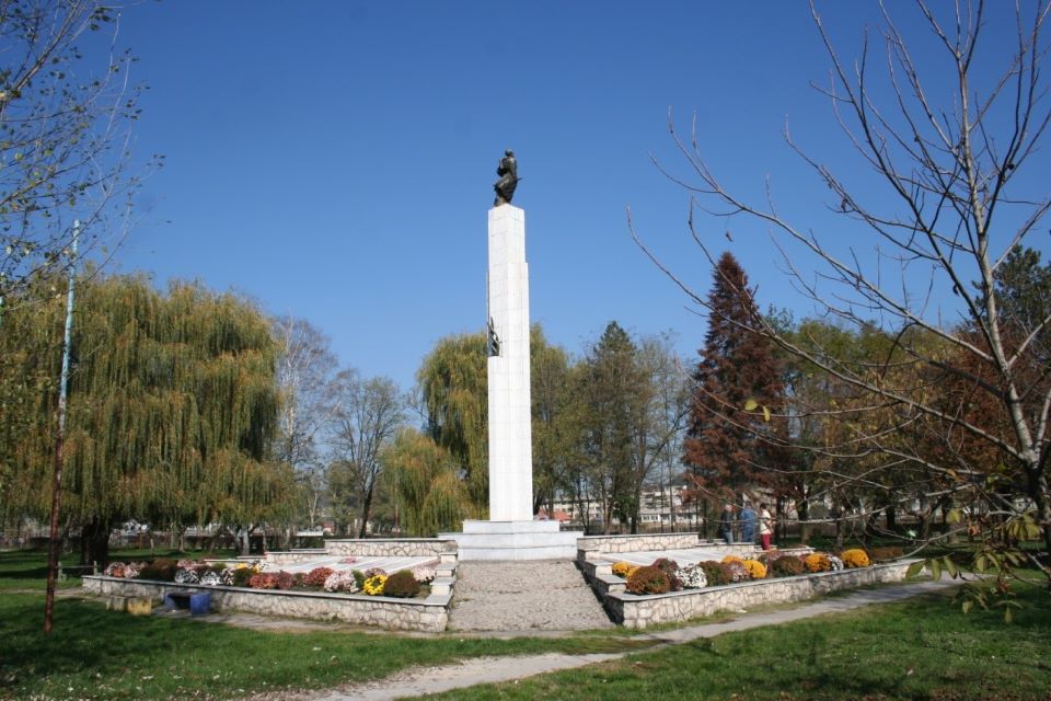 slika 1
