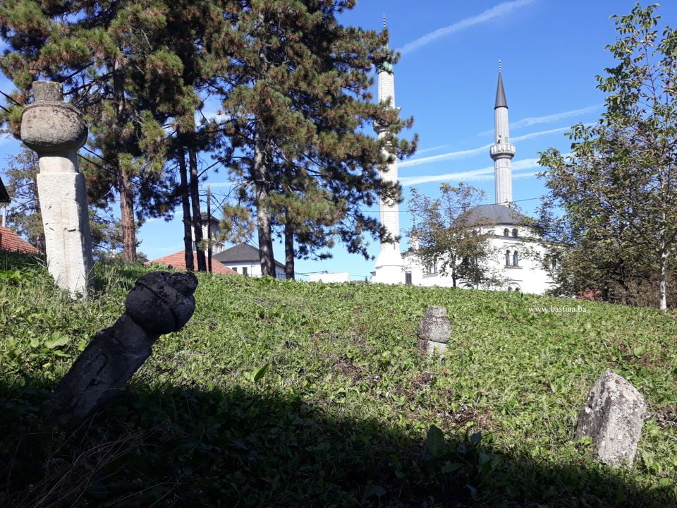 10 naslov